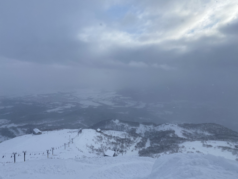 Niseko có bao nhiêu tuyết?