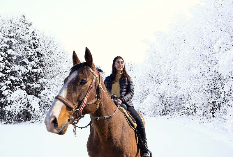 Horseback Riding and Sleigh Riding: Bonding Beyond Time