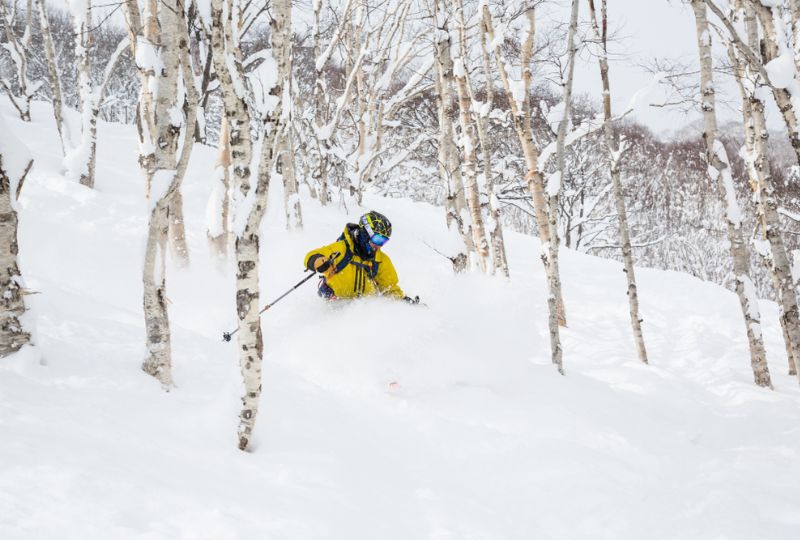 Why do so many people return to Niseko year after year?