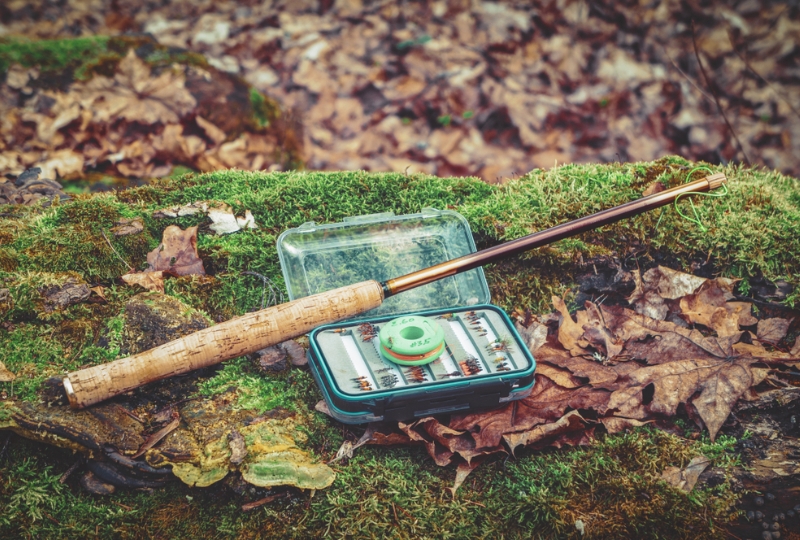 Tenkara fishing