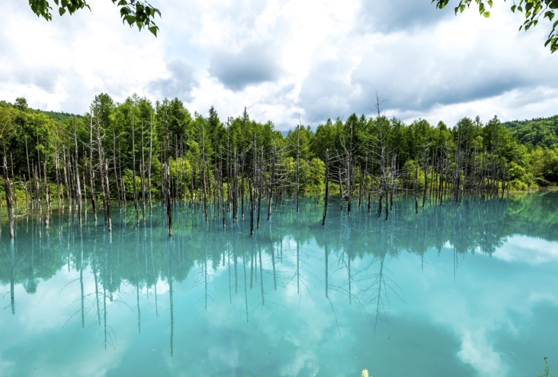 Thị trấn Biei là một địa điểm tham quan ở Hokkaido nổi tiếng