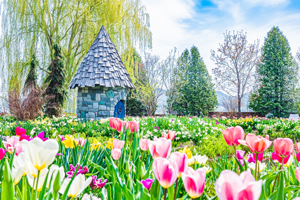 Nông trại Ueno, một địa điểm tham quan ở Hokkaido với đầy màu sắc