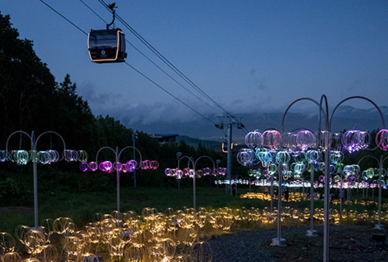 July Events in Niseko: Hanazono Mountain Lights