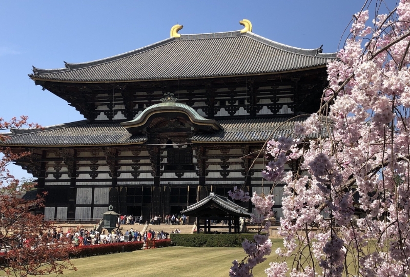 Nhật Bản nổi tiếng vì điều gì? Những ngôi đền Todai-ji của Kyoto