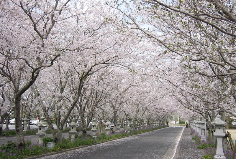 Công viên Hòa bình Chiran ở Kagoshima