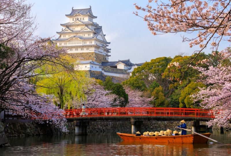 What is Japan known for? Cherry Blossoms