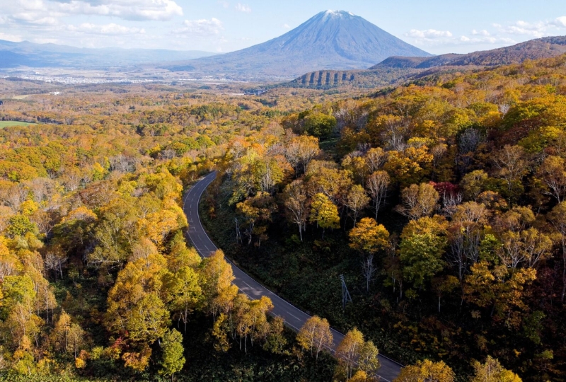 địa điểm đi bộ đường dài: Tuyến Niseko Panorama