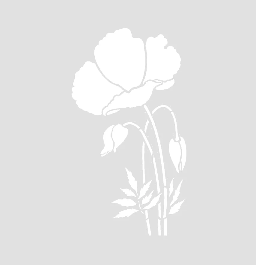 Термонаклейка "Мак" 28*15 см белого цвета.-1