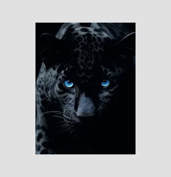 Термоналіпка "Леопард блакитні очі" 19*24,5 см