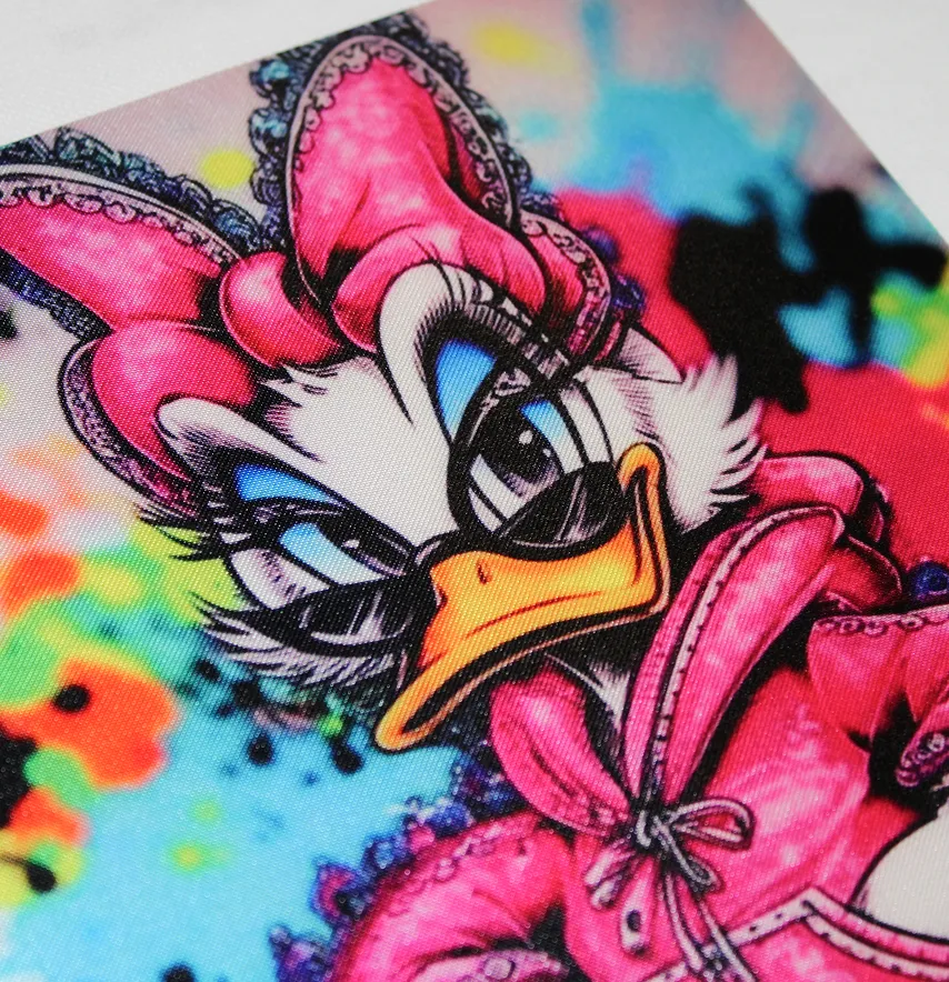 Нашивка тканева "Модна качка" барвиста 17*26 см-1