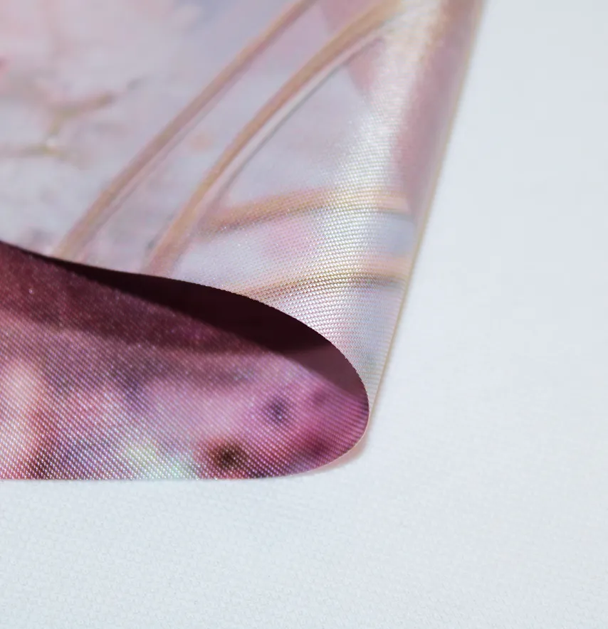 Нашивка тканева "Сатурн" в пудровому кольорі 19*25 см-4