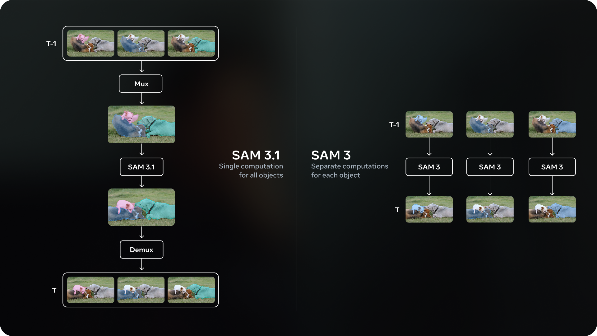comparision of sam 3 and sam 3.1