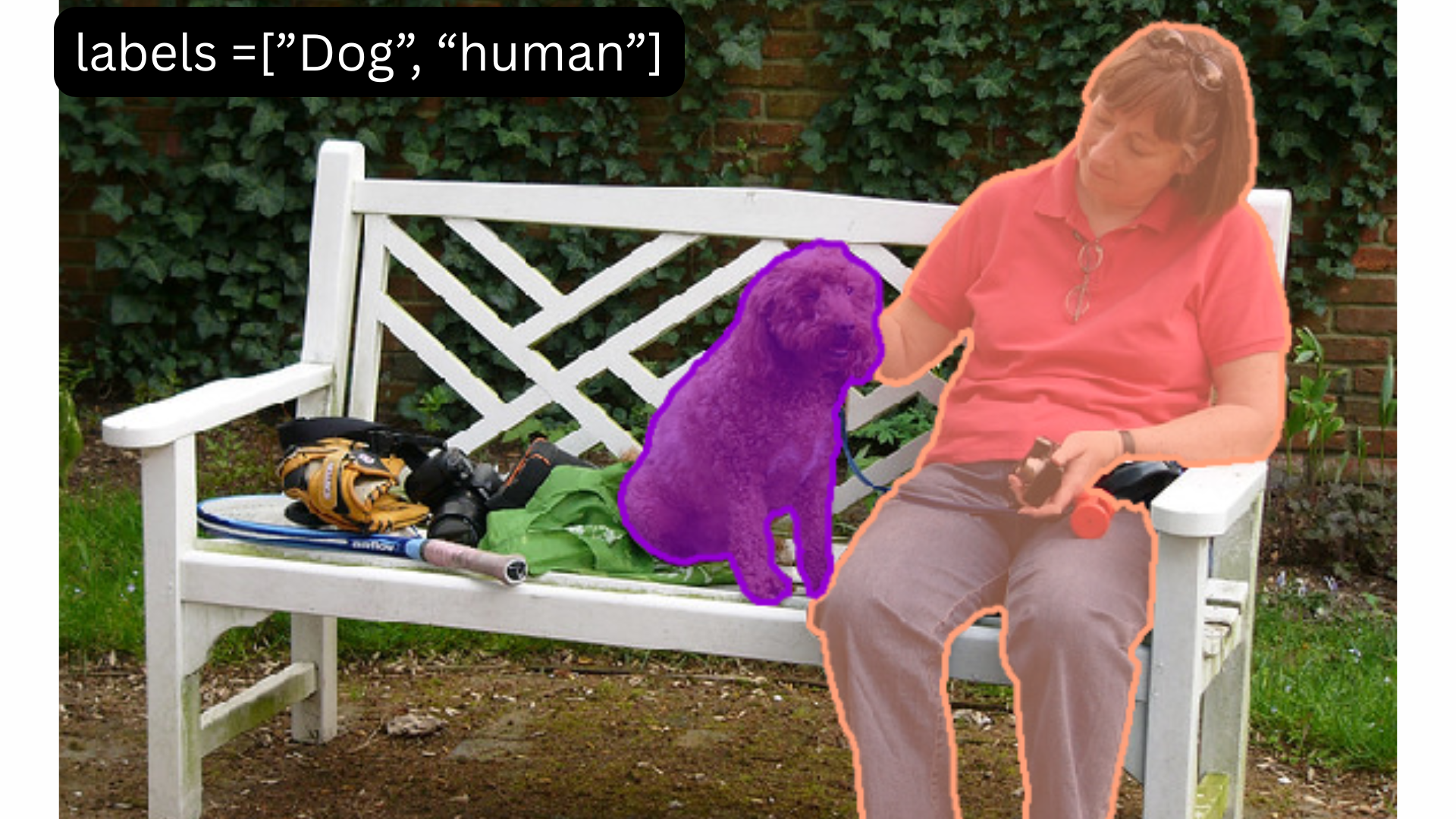 Segmentation of Dog and Human
