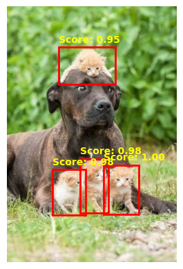 Image Query Result