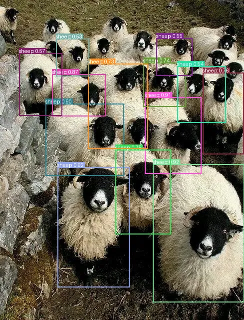 RT-DETR inference result