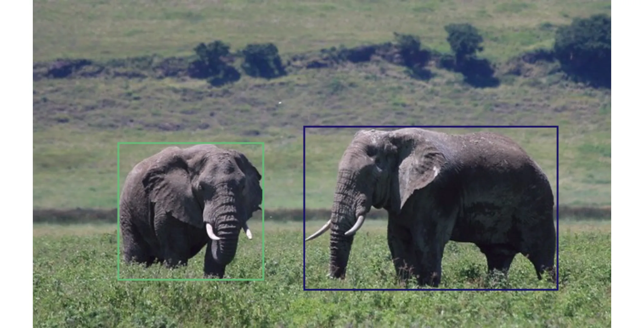 Bounding Boxes of objects