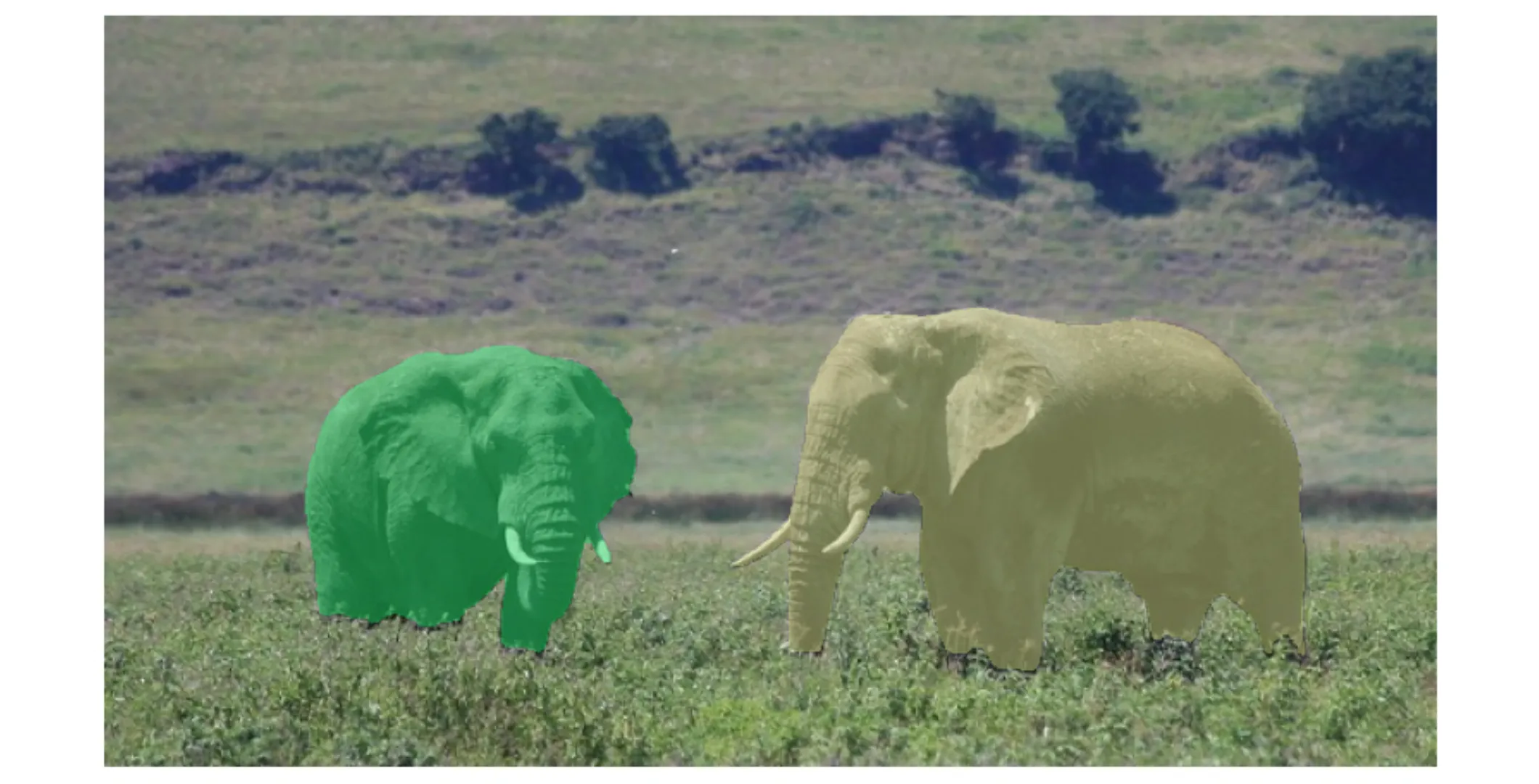 Segmentation Result