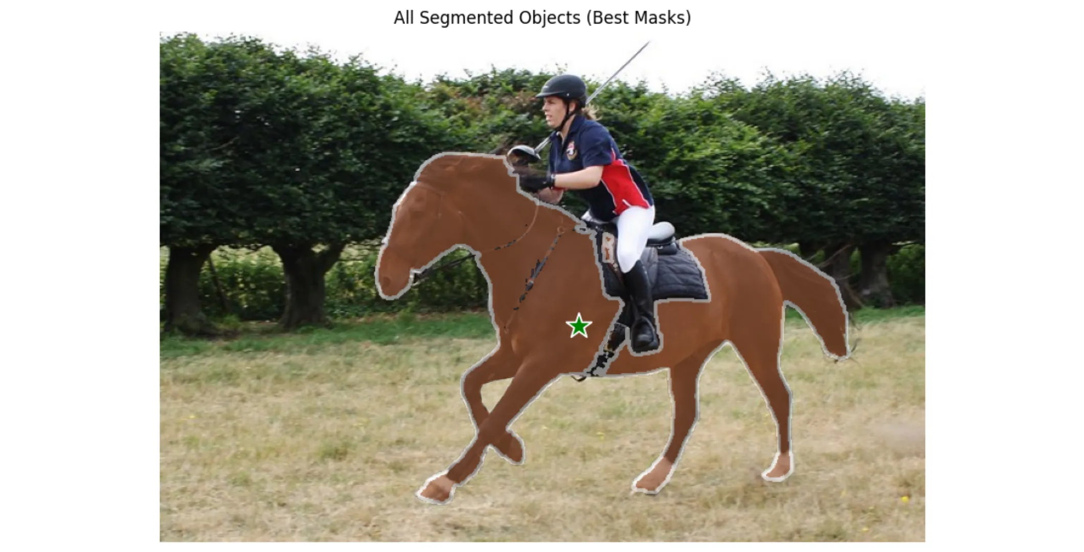 Point-based segmentation of horse