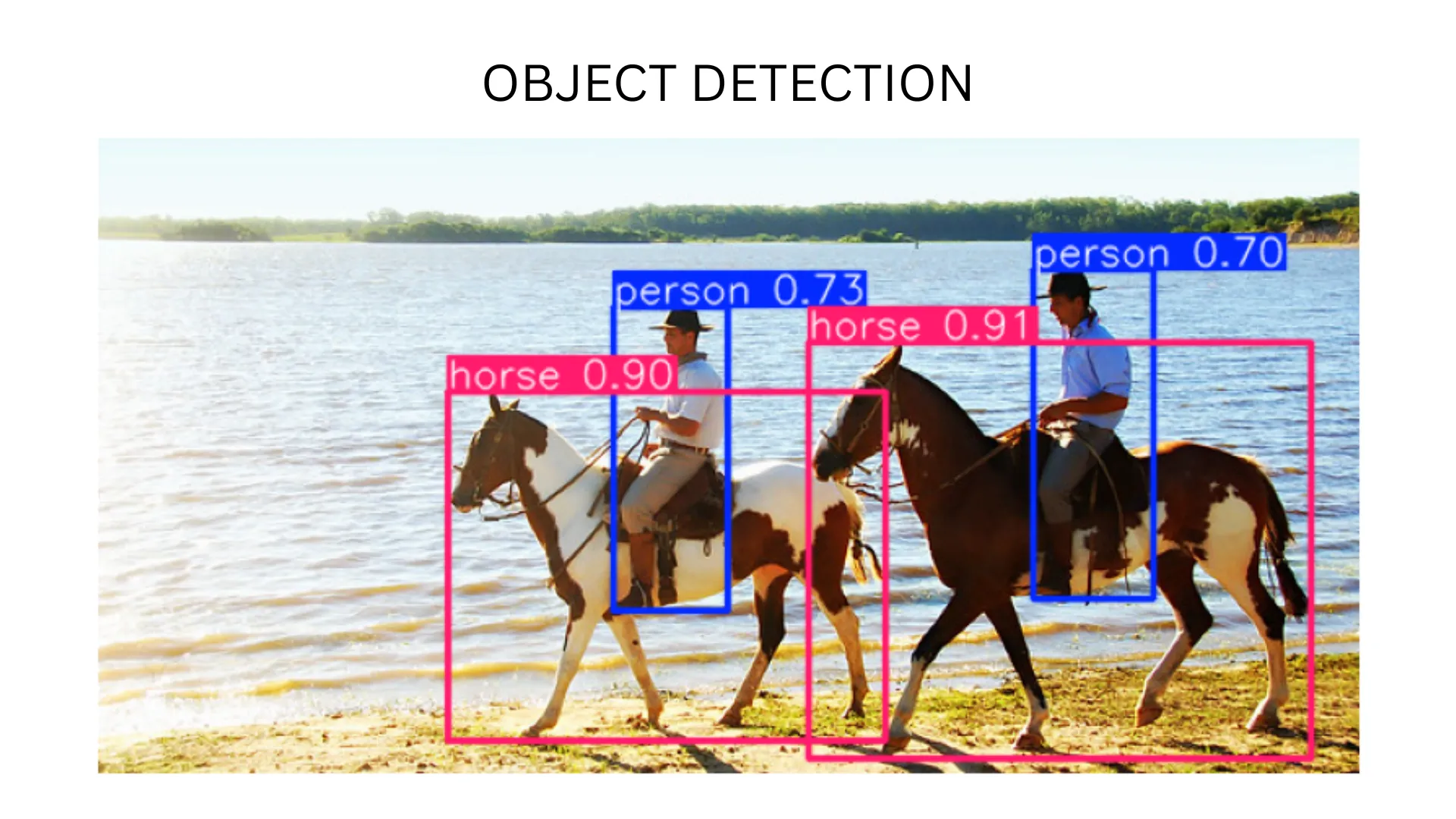 Object Detection