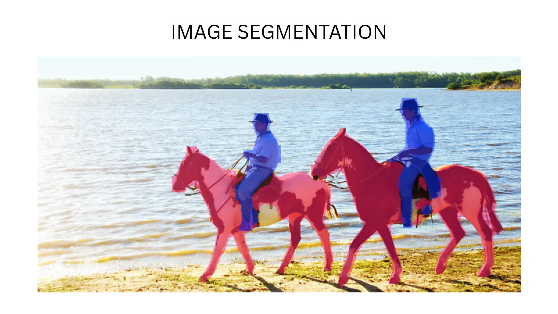 Instance Segmentation