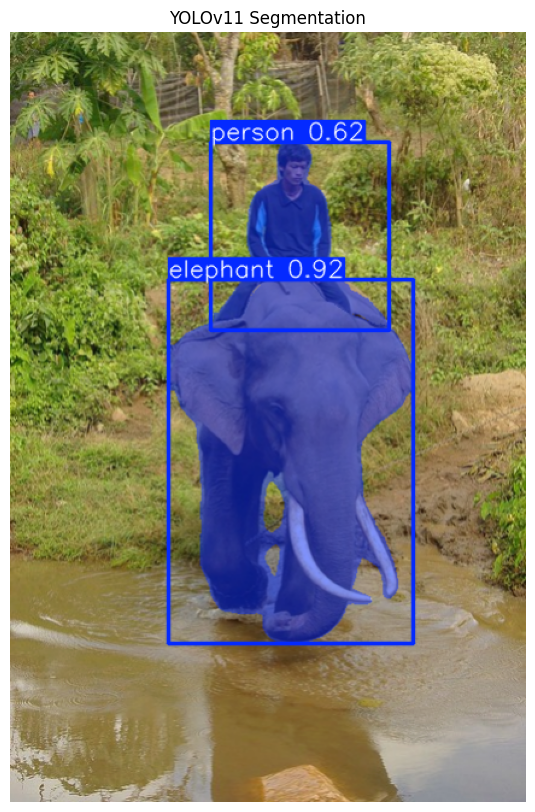 YOLOv11 Segmentation