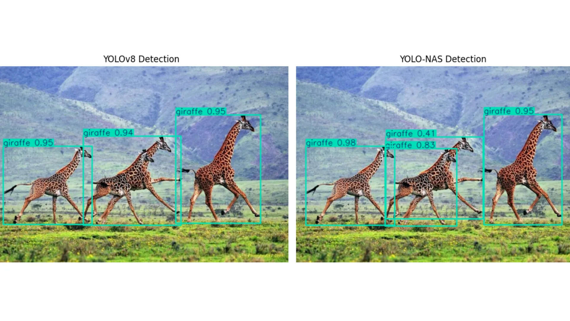 YOLOv8 vs YOLO-NAS