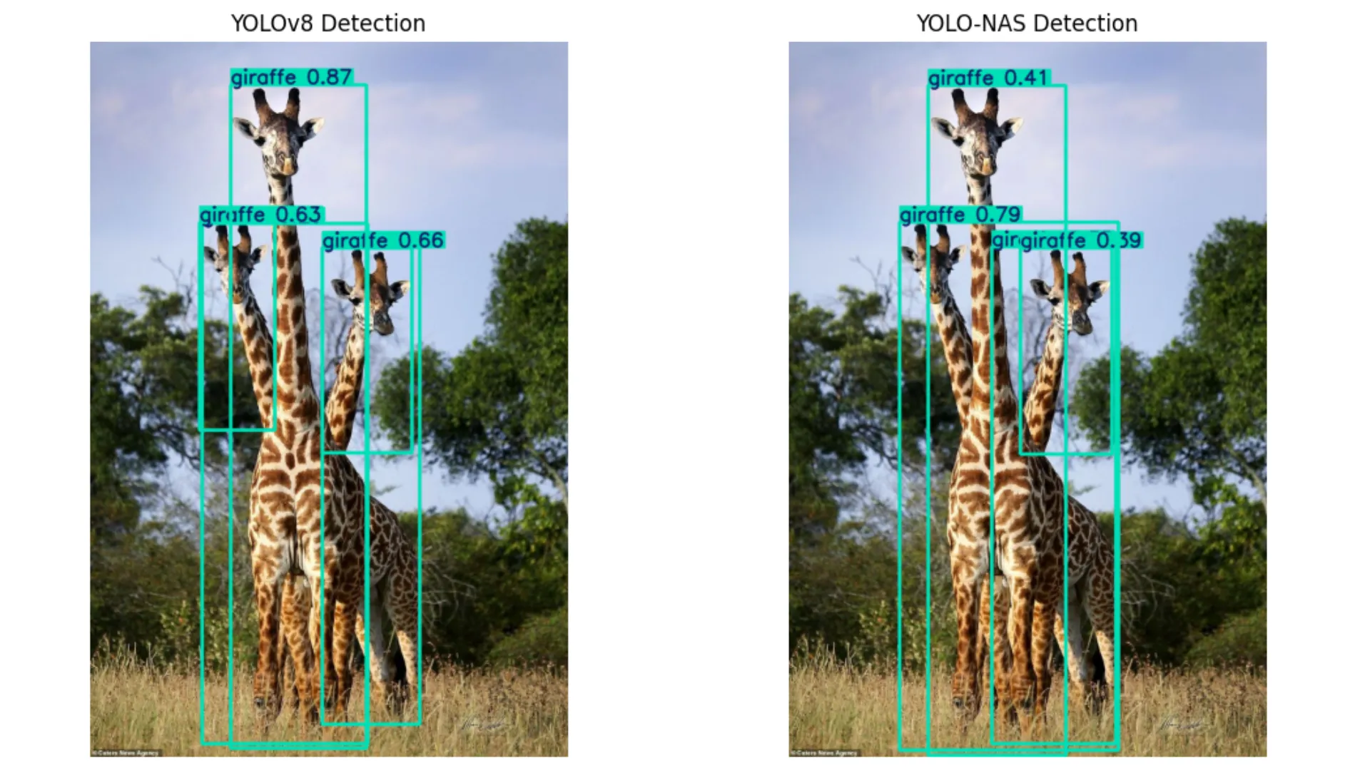 YOLOv8 vs YOLO-NAS