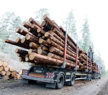 Carrying Logs