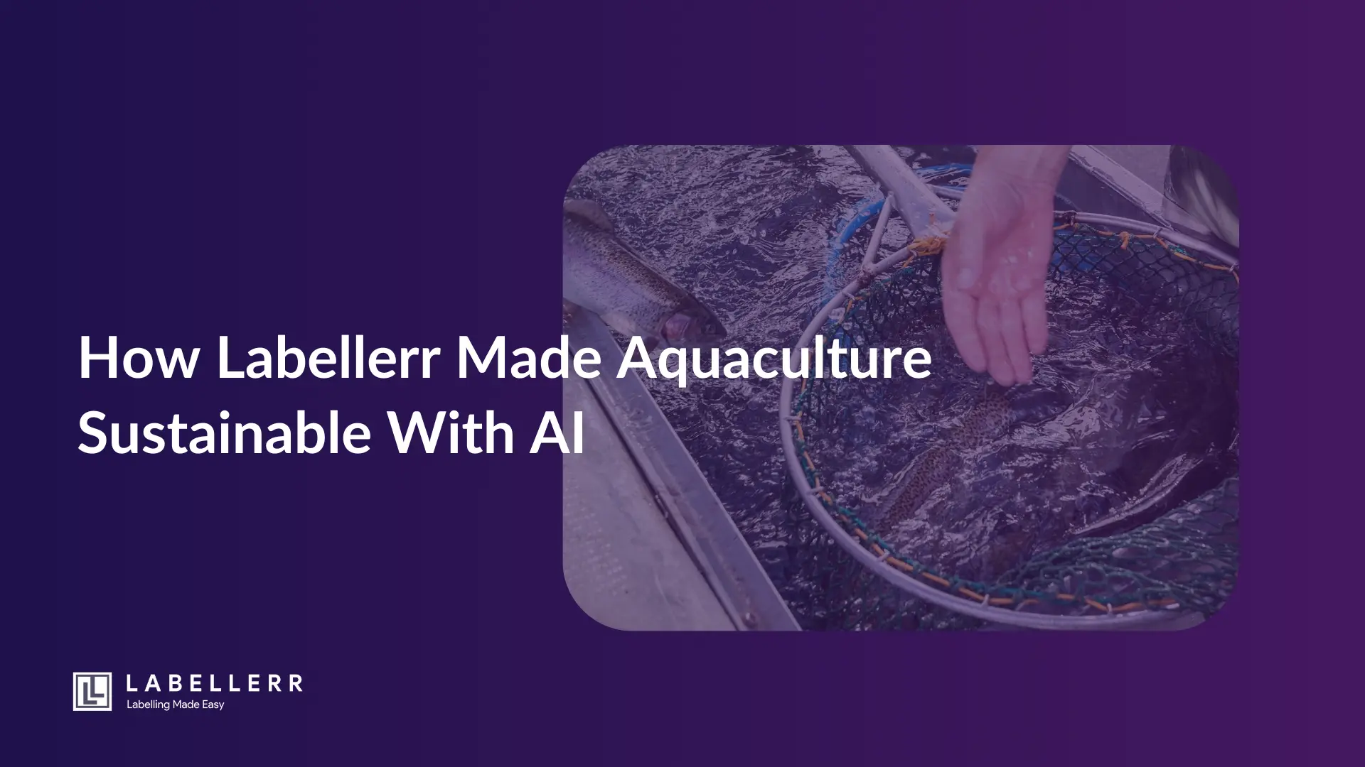 Efficiency With AI In Sustainable Aquaculture