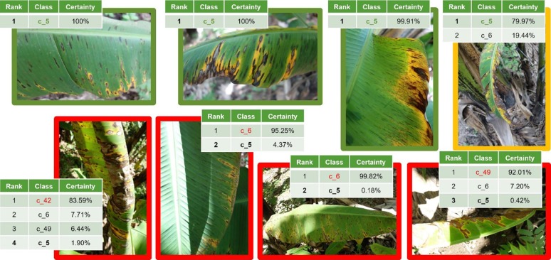 Agriculture Labeling Services