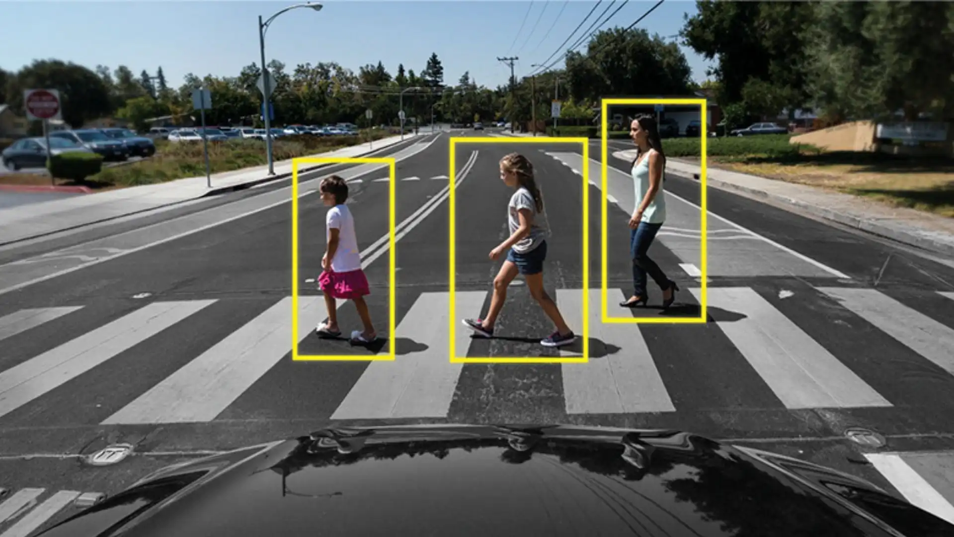 Image Labeling Labellerr