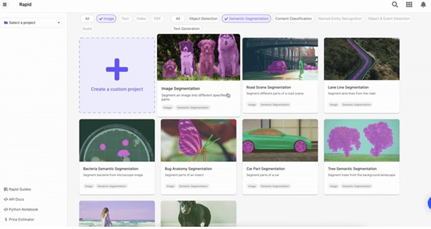 Scale AI Data Labeling UI
