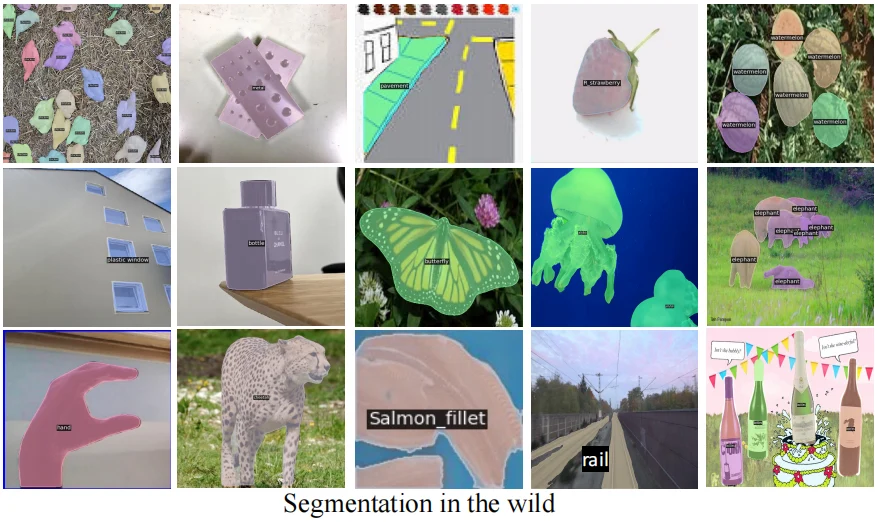 Segmentation in the wild