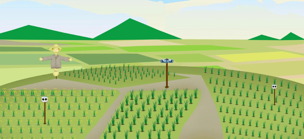 Field Surveillance