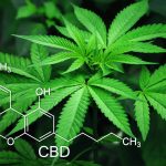 Overview of CBD benefits