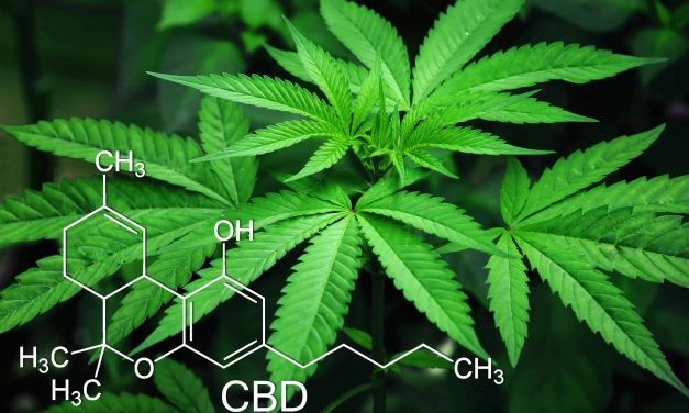 Overview of CBD benefits