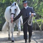 Andalusian Horse Show, Best Things To Do In LA, LA Best