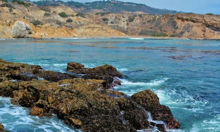 Exploring the Lesser-Known Beaches of Los Angeles