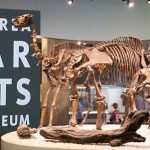 La Brea Tar Pits and Museum