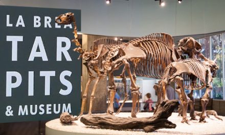 La Brea Tar Pits and Museum