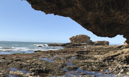 Crystal Cove State Park