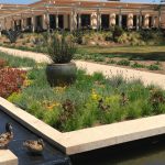 The Huntington Library, Art Museum, and Botanical Gardens