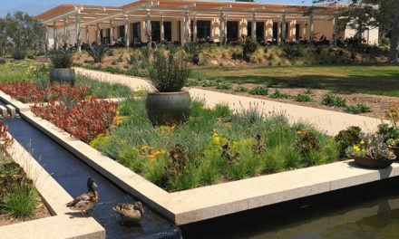 The Huntington Library, Art Museum, and Botanical Gardens