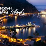 Discovering Catalina Island Los Angeles