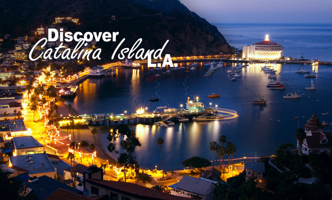 Discovering Catalina Island Los Angeles