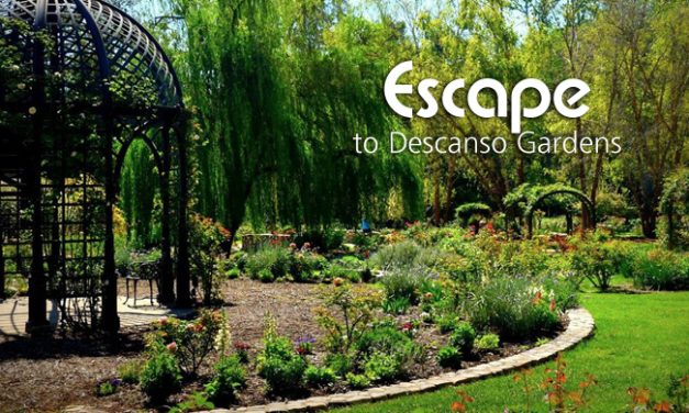 Descanso Gardens A Hidden Gem in La Cañada Flintridge