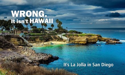 La Jolla Cove Beach A Gem of San Diego