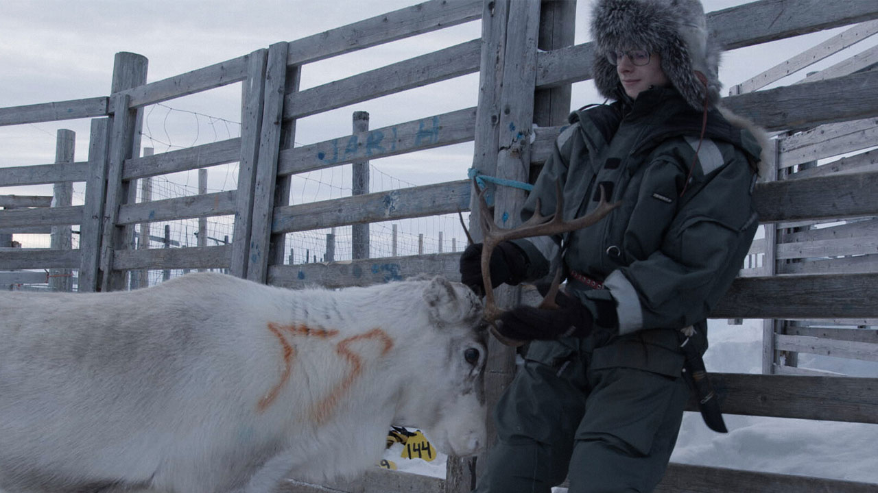 Rap & Reindeer | Labocine