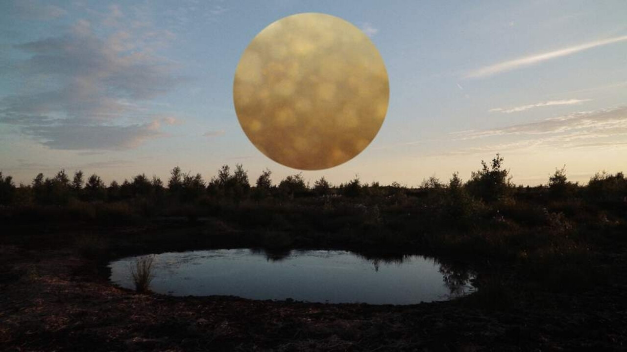 Translocations (2025)