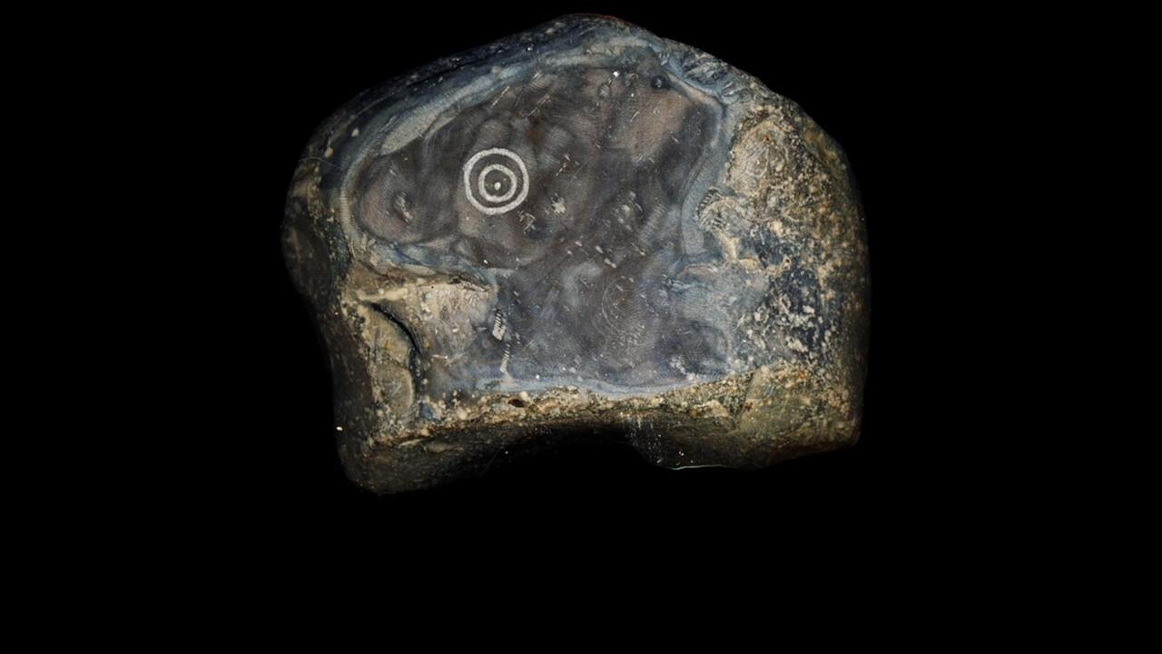 Witness: An Organima Film